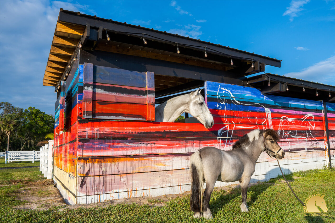 Welcome to Blue Ridge Farms “A breath of fresh air for the horse lover's soul.”